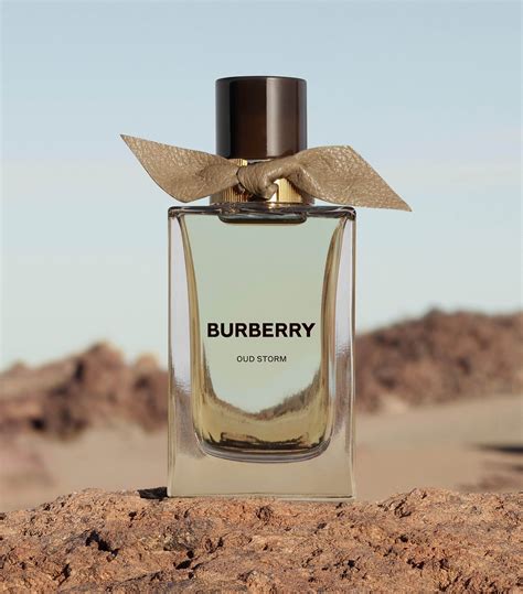 burberry novita